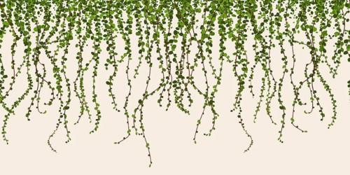 Green foliage wall vector illustration, climbing plant leaves seamless horizontal pattern