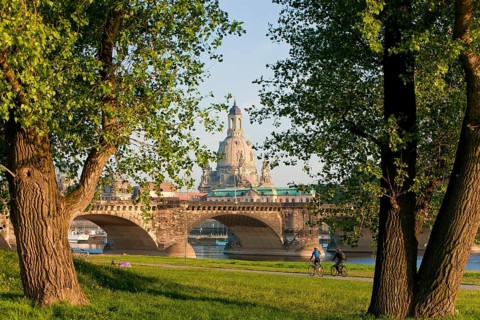 Dresden Elbe meadows in spring