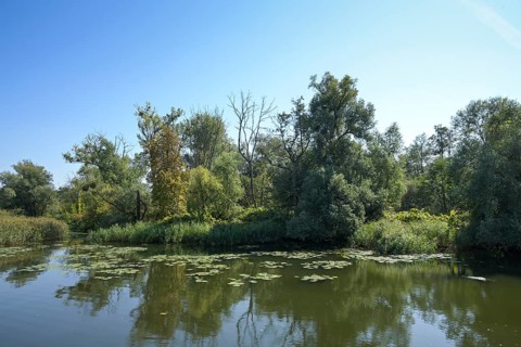 Biotope, nature reserve, Swante River, Swieta, north of Szczecin, West Pomeranian Voivodeship,