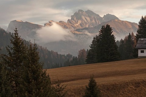 High alpine pasture, Alpe di Siusi. View of the Seceda, Dolomites