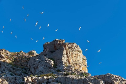 Marettimo, Egadi Islands, Sicily, Italy, Europe