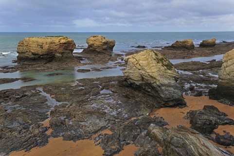 Sea stacks at the Plage des Cinq Pineaux at low tide, Saint-Hilaire-de-Riez, La Vendée, Pays de la