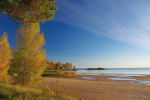Autumn coloured trees on the shore of Lake Vänern, blue sky, October, Mellerud, Sweden, Europe
