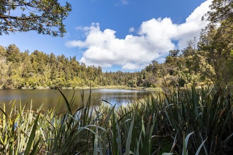 Lake Matheson Trail, New Zealand, Oceania