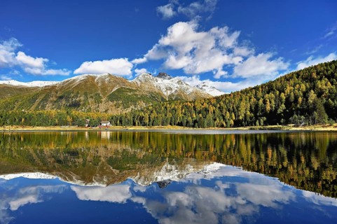 Autumn atmosphere with discoloured larches, Lake Staz, Lej da Staz, St. Moritz, Engadin, Canton