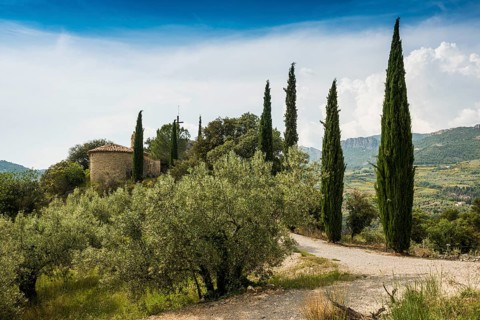 Buis-les-Baronnies, Departement Drôme, Provence, Provence-Alpes-Côte dAzur, France, Europe
