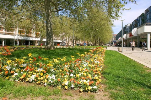 Main street