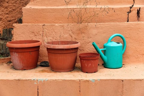Empty flower pots with watering can on a wall, terrace, lost place, Spain, Europe