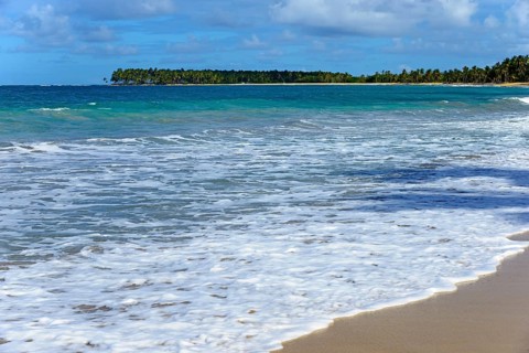 Foamy waves rolling onto a sunny, sandy beach with palm trees in the background, Limon beach, El