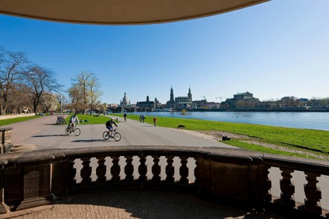 Dresden silhouette in spring. Numerous Japanese cherry trees blossom on the banks of the Neustädter