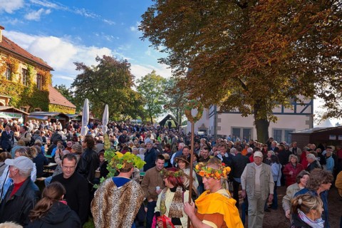 The Saxon Winegrowers' Procession 2012