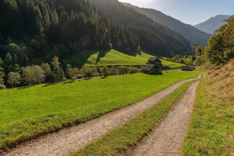 Agriculture, alpine pasture in the valley Zillergrund, mountain stream Ziller, alpine pasture,