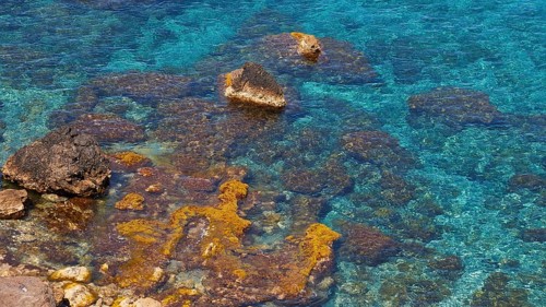Green sea, lichen-covered rocks, detail, Marettimo, Egadi Islands, Sicily, Italy, Europe