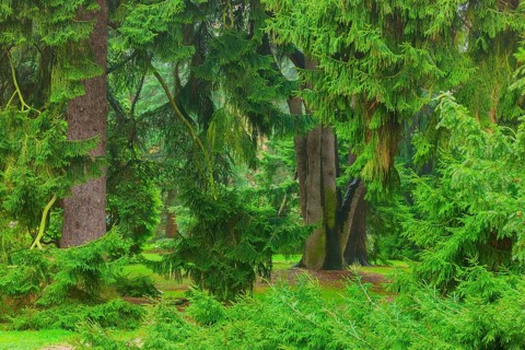 About 15 kilometres east of Dresden city centre, directly on the Elbe, lies Pillnitz Palace & Park,