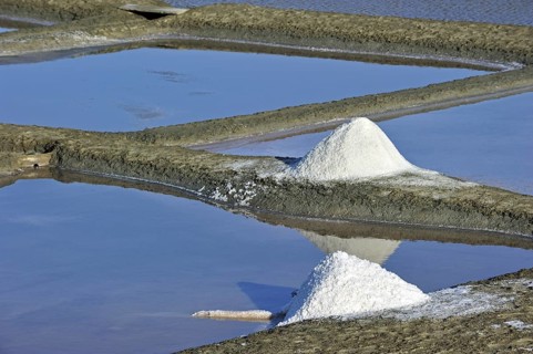 Salt pan for the poduction of Fleur de sel, sea salt on the island Ile de Ré, Charente-Maritime,