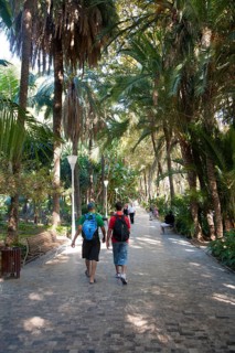 People walking along path through palm trees and botanical gardens, Malaga, Spain, Europe