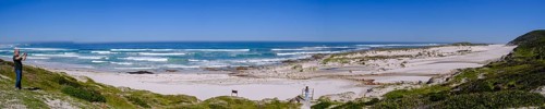 Sand dunes, Platboom Beach, Cape Point, Cape of Good Hope, Cape Peninsula, Western Cape, South