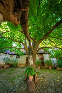 Dreamcatcher hanging from a tree in a historic garden, surrounded by shade and decorative elements,