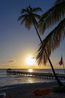 Evening sky with a sun reflected in the water, dominated by a palm tree and jetty, Dominicus beach,