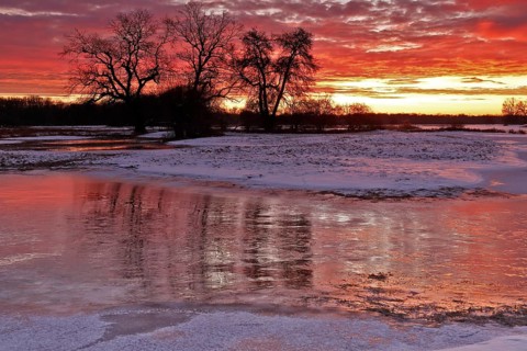 Winter floods 2024 on the Elbe and Mulde rivers with flooding of the meadows, ice on the meadows