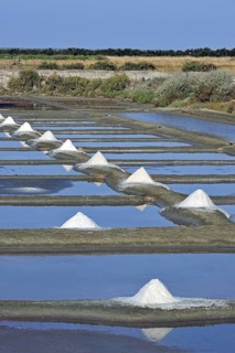 Salt pan for the production of Fleur de sel, sea salt on the island Ile de Ré, Charente-Maritime,