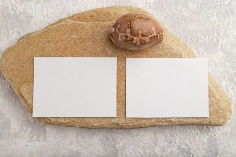White paper business card, mockup with natural stone and seashell on gray concrete background.