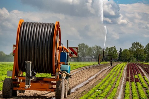 A field is artificially irrigated, water is sprayed onto the field via an irrigation system, field