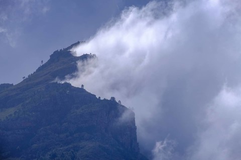 Clouds and fog at Simonsberg near Stellenbosch, Western Cape, South Africa, Africa