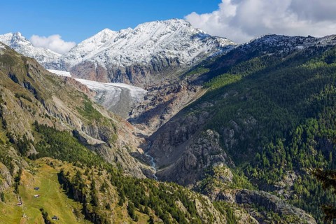 The UNESCO Panorama Trail from Belalp to Riederfurka with views of the Aletsch Glacier, Tourism,
