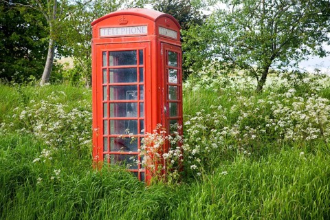 Traditional red telephone box in rural area becoming overgrown through lack of use, Wiltshire,
