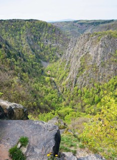 Deep gorge surrounded by forest and steep rock faces, view from the Hexentanzplatz Thale into the