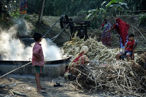 Workers boiling sugarcane juice as they are making Gur (jaggery) in a village on December 10, 2021