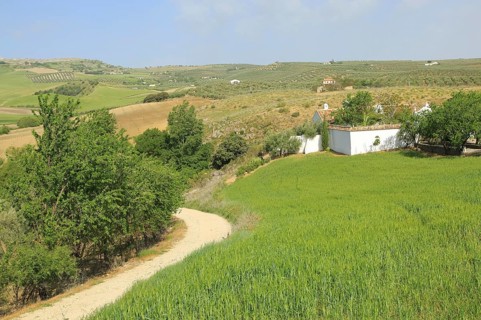 Farming landscape of Rio Setenil valley, Cuevas del Marques, Serrania de Ronda, Spain, Europe
