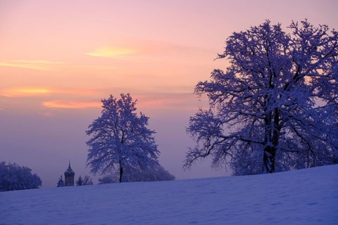 Sunrise with hoarfrost in winter, at the Schlossberg, Eurasburg, Loisachtal, Upper Bavaria,