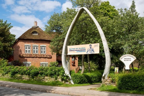 Friesen Museum, blue whale lower jaw, Wyk, Föhr, North Sea island, North Friesland,