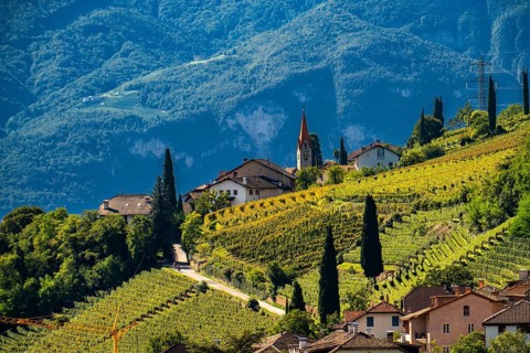 Landscape in the Adige Valley, in South Tyrol, above the village of Tramin, vineyards dominate the