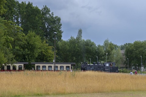 Historic, Mecklenburgische Bäderbahn Molli at Heiligendamm railway station, Mecklenburg-Vorpommern,