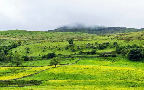 Farms in Yorkshire Dales National Park, North Yorkshire, England, United Kingdom, Europe