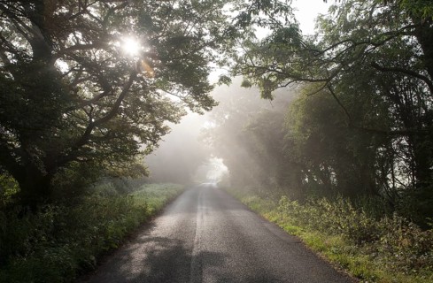 Misty autumn morning with trees lining quiet country road at Compton Bassett, near Calne,