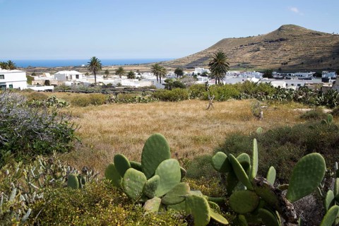 View over cactus plants and whitewashed houses, village of Maguez, Lanzarote, Canary Islands,