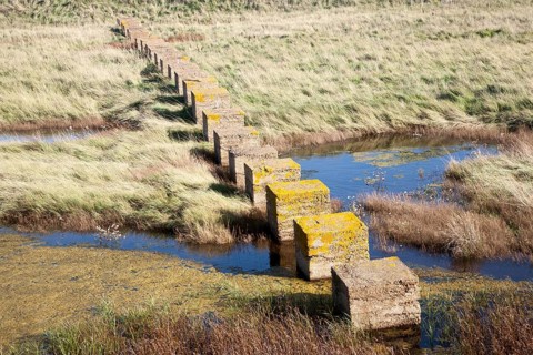 Concrete blocks created as tank traps stepping stones across marshland, Alderton, Suffolk, England,