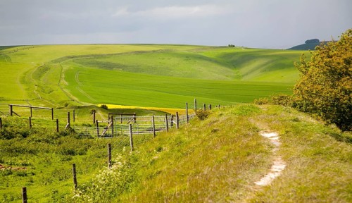 Ditch and embankment of the Wansdyke a Saxon defensive structure on All Cannings chalk downs near