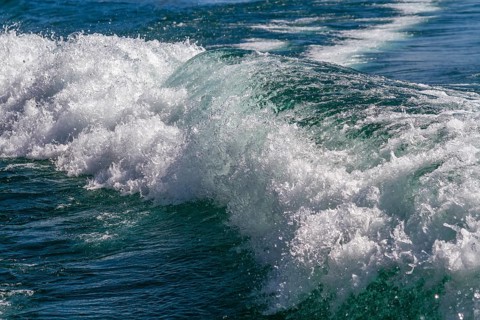 Fairway, stern wave, Lake Garda, Lago di Garda, Italy, Europe