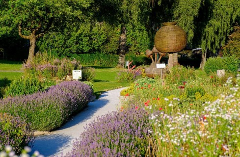 Herb garden, poppy garden, Waldviertel grey poppy, poppy village Armschlag, Waldviertel, Lower