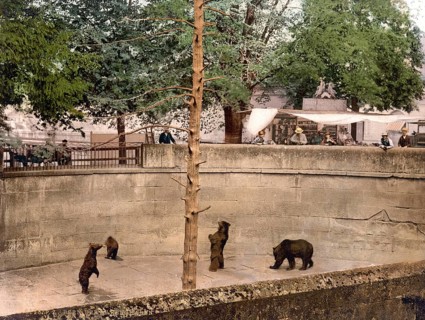 Bärengrube, Bern, Switzerland, Historic, digitally restored reproduction from a 19th century