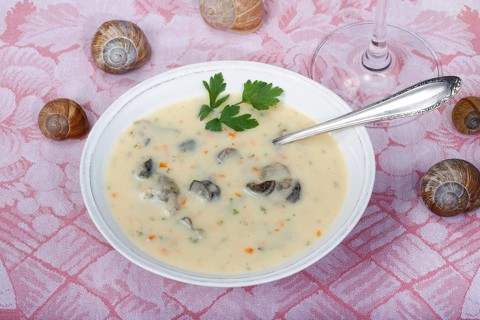Baden cuisine, snail soup, typical Baden, vineyard snail shell, snail shells, parsley, spoon, soup