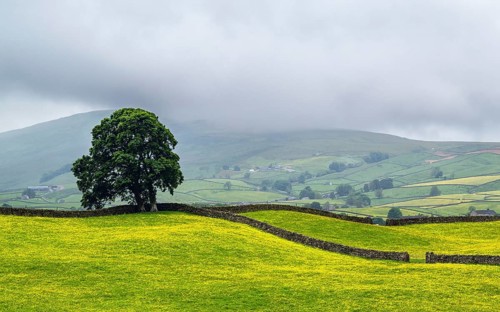 Farms in Yorkshire Dales National Park, North Yorkshire, England, United Kingdom, Europe