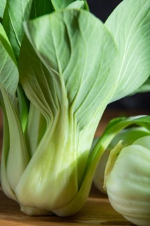 Fresh green bok choy or pac choi chinese cabbage. Side view, close up, macro
