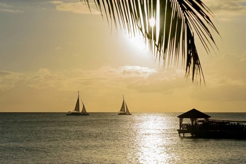 A peaceful sunset with silhouettes of sailboats and a palm leaf, jetty, Dominicus beach, Bayahibe,