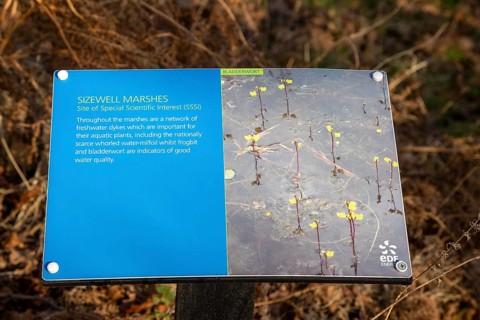 EDF Energy environmental project near nuclear power station, Sizewell Marshes, Suffolk, England,